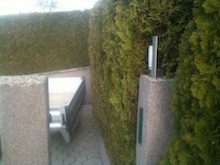 Hecke entfernen